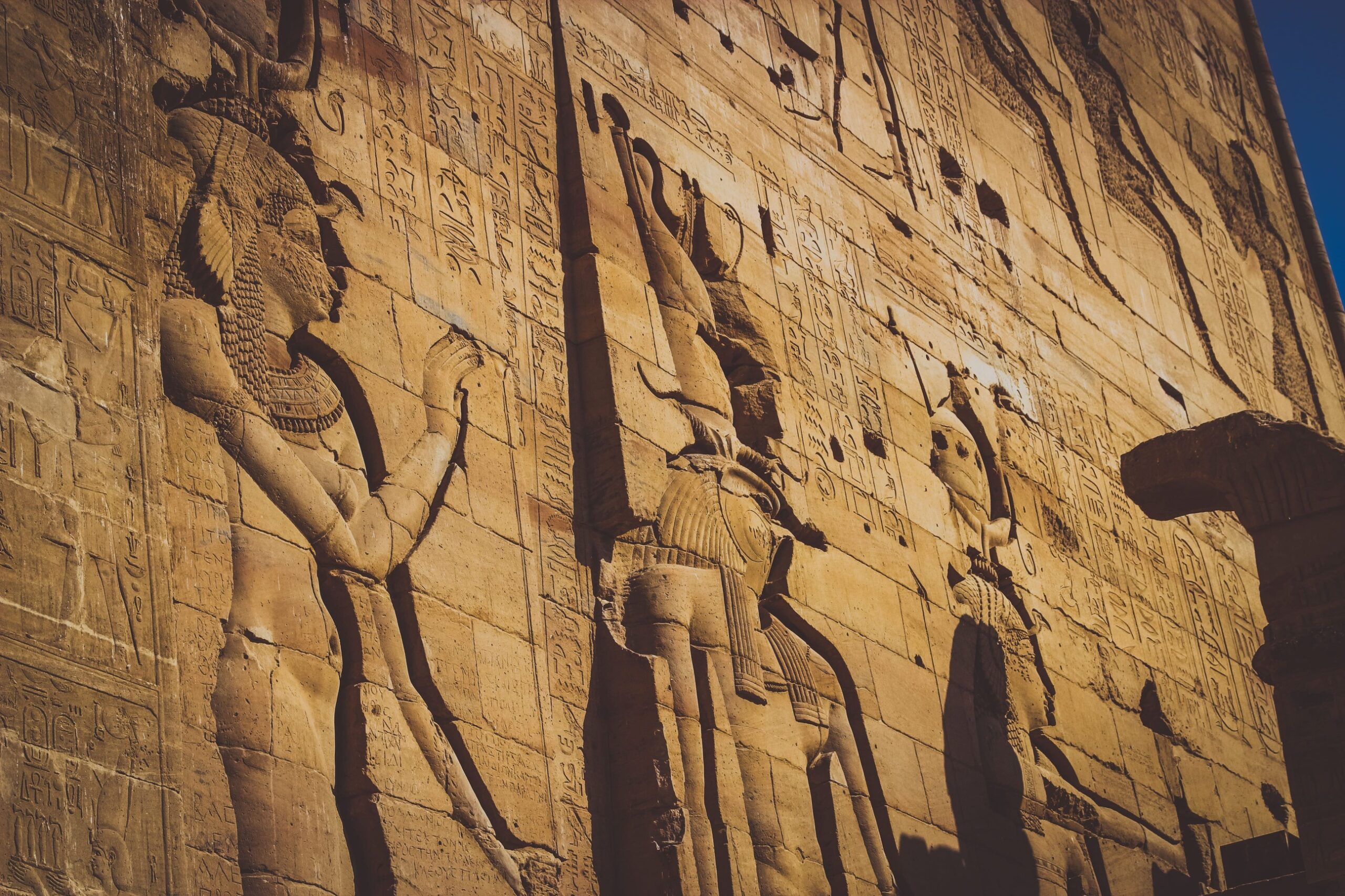 Photography Collection