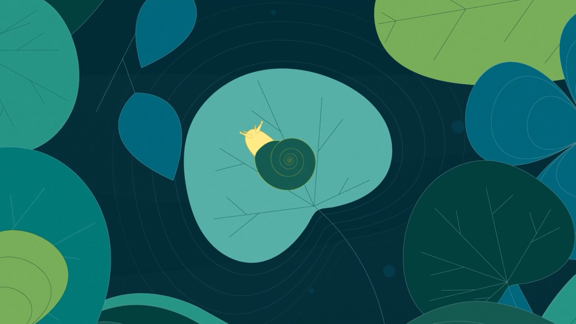 Unpacking Sustainability