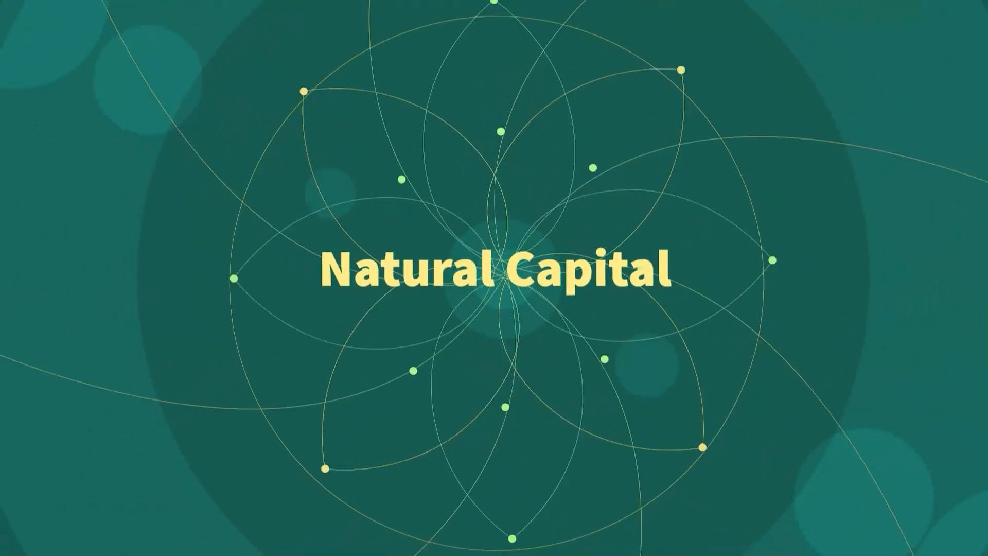 Unpacking Sustainability